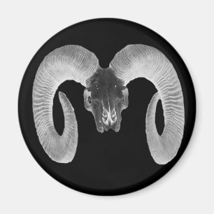 unique and handmade  goat skull magnet