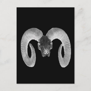 unique and handmade goat skull postcard