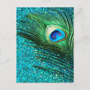 Unique Aqua Peacock Postcard