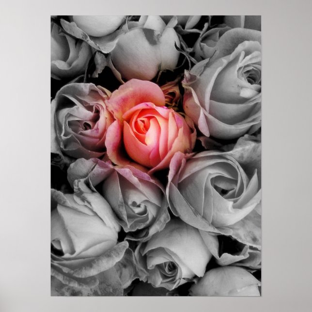 Unique Beauty Poster (Front)