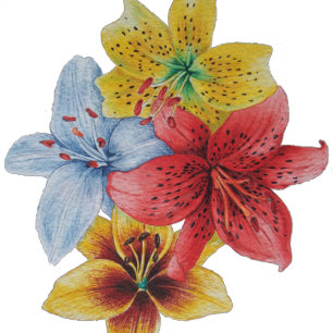 unique big and bold colourful flowers floral wash cloth