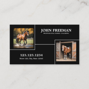 Unique Black and White Horses Photos Equine Business Card