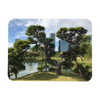 Unique Black Pine Tree Magnet