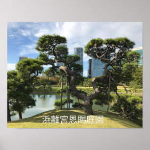 Unique Black Pine Tree Poster