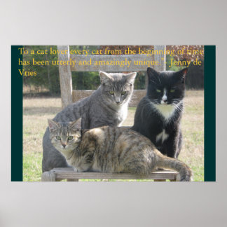 Unique cats poster