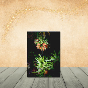 Unique Crown Imperial Style Flower Note Cards