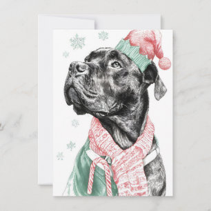 Unique Dog Christmas Cards