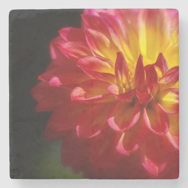 Unique Flower Coaster (Front)