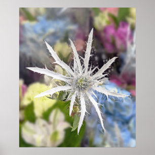 Unique Flower Poster