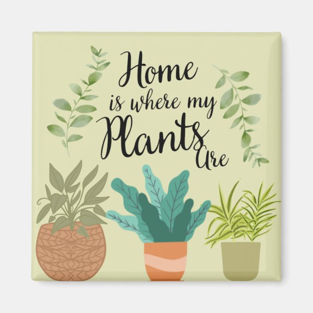 Unique Fridge Magnet Collection (Front)