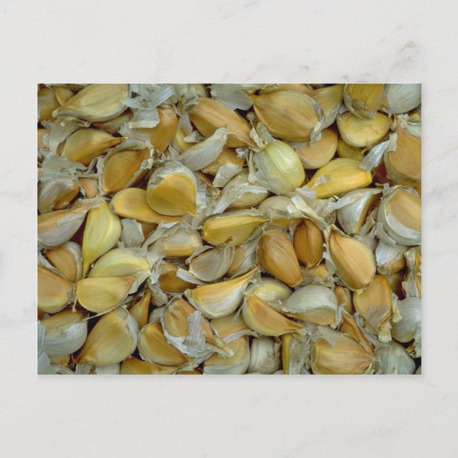 Unique Garlic Postcard (Front)