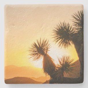 Unique Gift for Traveller with Desert Photo Stone Coaster
