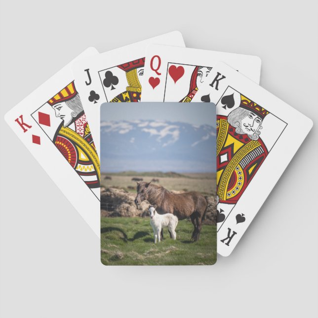 Unique Horse Lover’s Playing Cards (Back)