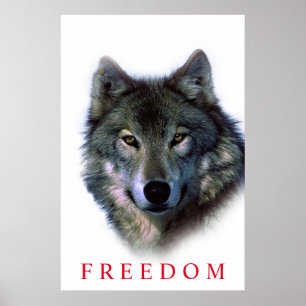 Unique Motivational Freedom Wolf Door Poster