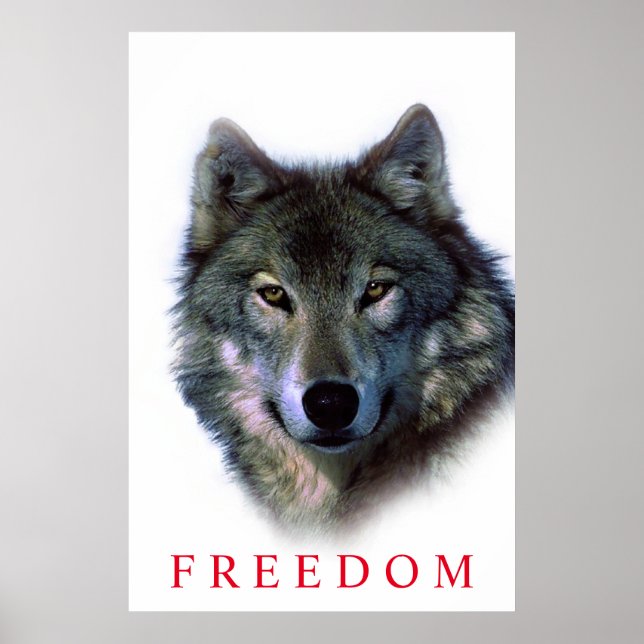 Unique Motivational Freedom Wolf Door Poster (Front)