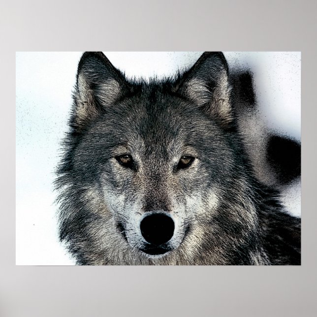 Unique Motivational Freedom Wolf Poster (Front)