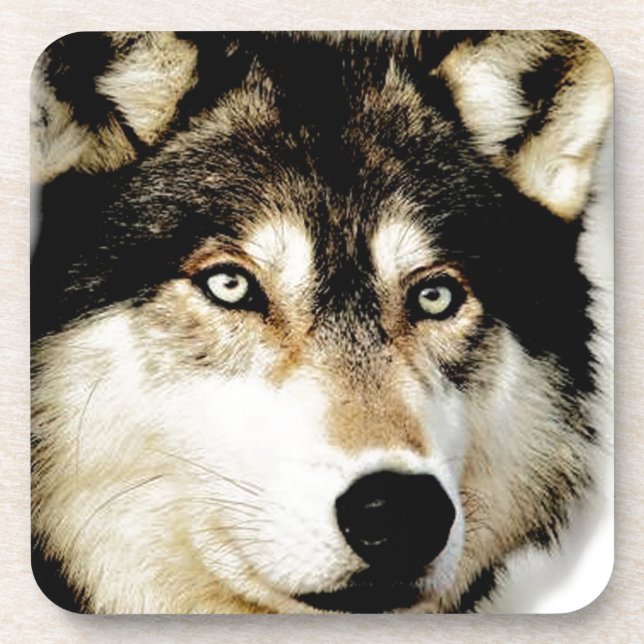 Unique Motivational Wolf Coaster (Front)