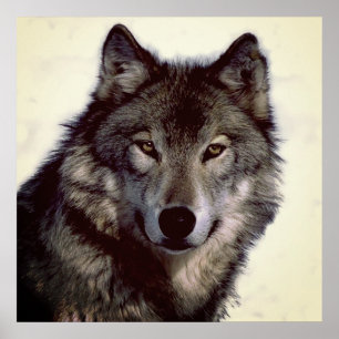 Unique Motivational Wolf Creative Square Poster