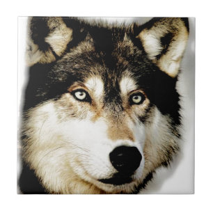 Unique Motivational Wolf Tile