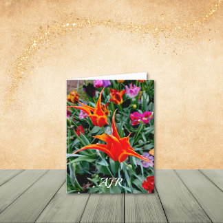 Unique Orange and Yellow Pointed Tulips Note Cards