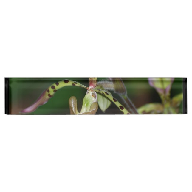 Unique Orchid Nameplate (Front)