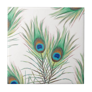 Unique Peacock Feathers Pattern Tile