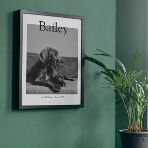 Unique Pet Portrait Magazine Custom Photo Poster