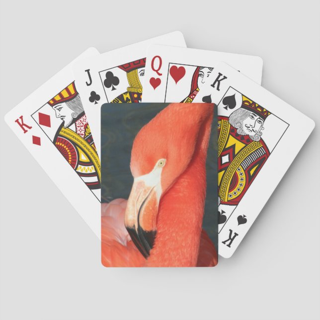 Unique Pink Flamingo Playing Cards Deck (Back)