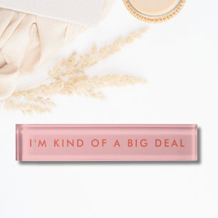 Unique Pink Novelty Funny Desk Name Plate