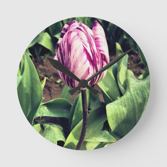 Unique Purple & White Stripe Tulip Round Clock (Front)