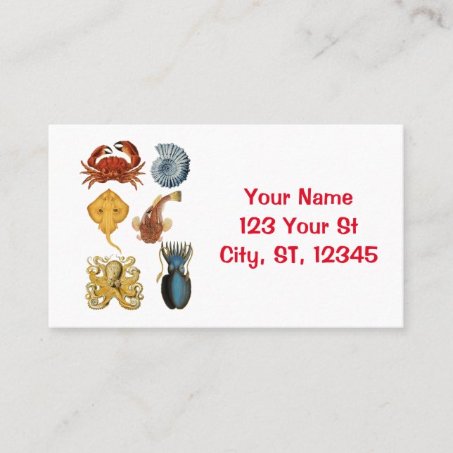 Unique Sea Beings Assortment Thunder_Cove Business Card (Front)