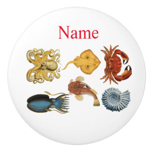 Unique Sea Beings Assortment Thunder_Cove Ceramic Knob