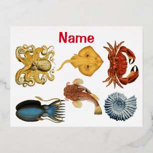 Unique Sea Beings Assortment Thunder_Cove  Foil Holiday Postcard