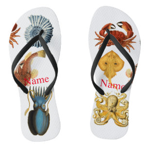 Unique Sea Beings Assortment Thunder_Cove  Jandals