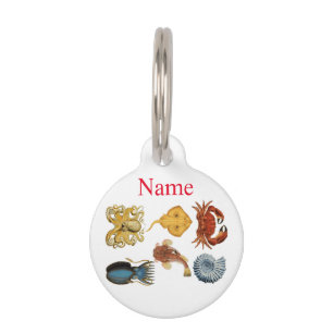 Unique Sea Beings Assortment Thunder_Cove Pet Tag