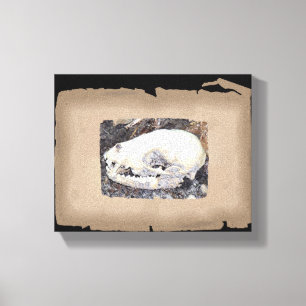 Unique sepia racoon skull canvas print