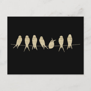 Unique Sheet Music Birds Postcard