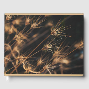 Unique Short Bursting Wild Grass Information  Guest Book