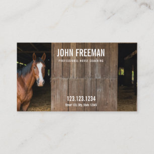Unique Stable Horse Photo Equestrian Business Card