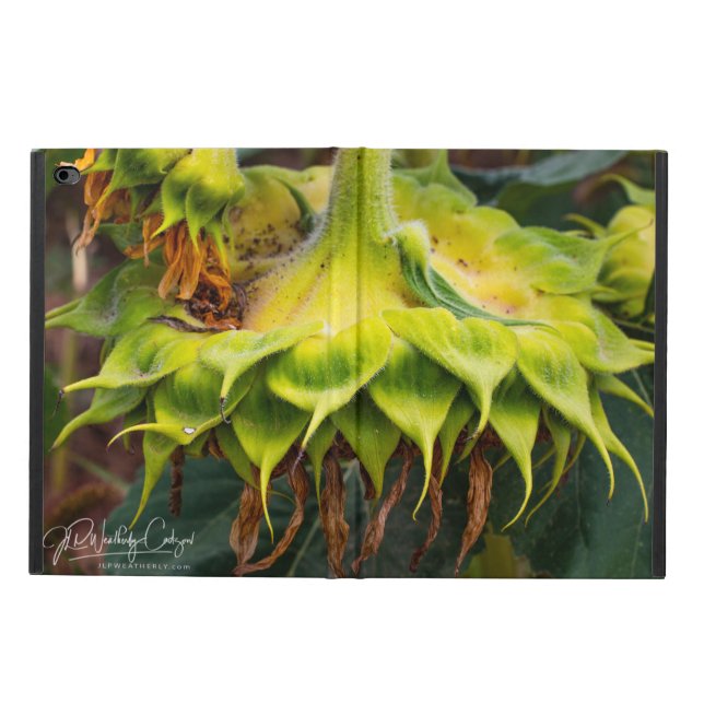 Unique Sunflower Powis iPad Air 2 Case (Outside)