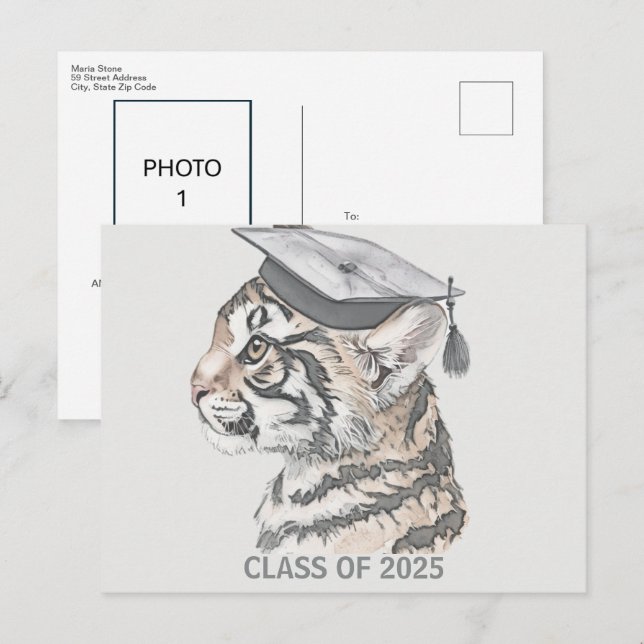 Unique Tiger Graduation Announcement Postcard (Front/Back)