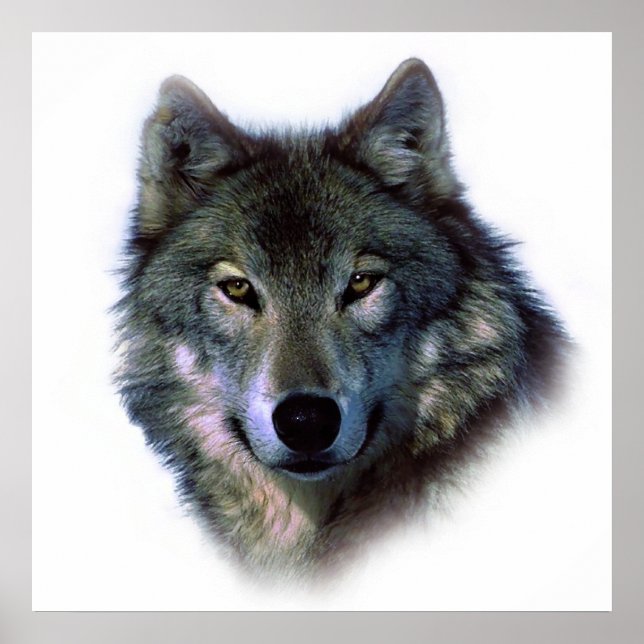 Unique Wolf Artwork Motivational Freedom Poster (Front)