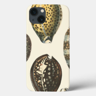 Uniquely Shaped Seashells iPhone 13 Case