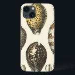 Uniquely Shaped Seashells iPhone 13 Case<br><div class="desc">Lay out on the warm sand and find the hidden treasures! This painting by Kobeit,  he captures the beautiful water life found ashore. Kobeit captures the a beautiful array of sepia toned seashells in a vintage tone. Get your beautiful ocean art today on your next Zazzle product.</div>