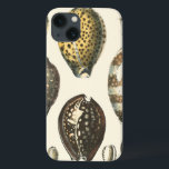 Uniquely Shaped Seashells iPhone 13 Case<br><div class="desc">Lay out on the warm sand and find the hidden treasures! This painting by Kobeit,  he captures the beautiful water life found ashore. Kobeit captures the a beautiful array of sepia toned seashells in a vintage tone. Get your beautiful ocean art today on your next Zazzle product.</div>