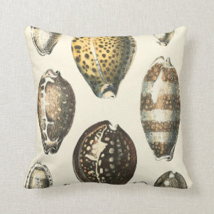 Uniquely Shaped Seashells Cushion