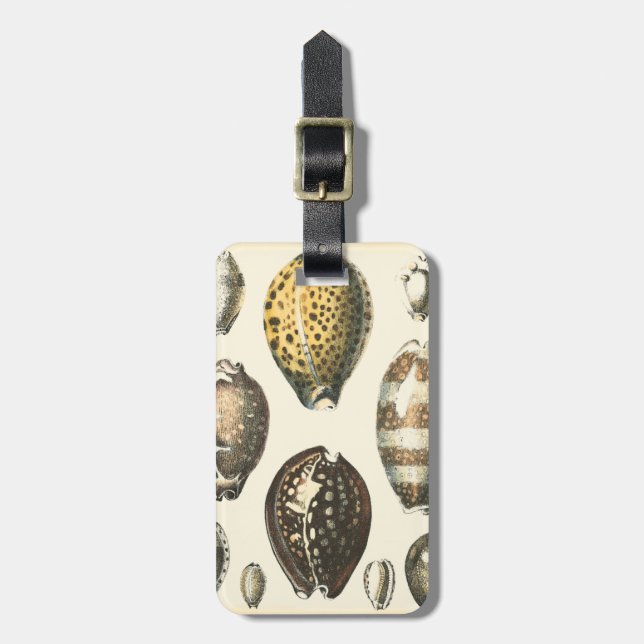 Uniquely Shaped Seashells Luggage Tag (Front Vertical)