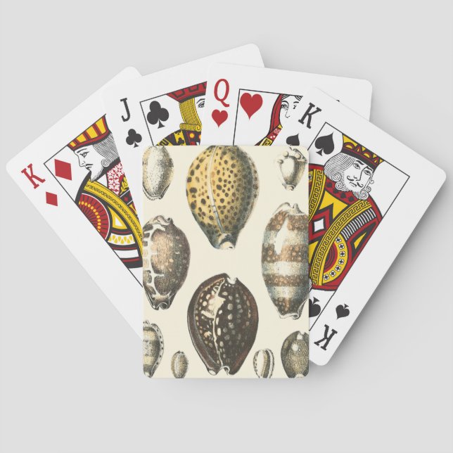 Uniquely Shaped Seashells Playing Cards (Back)