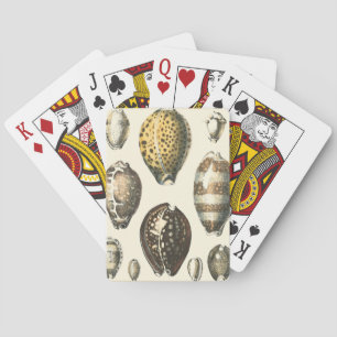 Uniquely Shaped Seashells Playing Cards