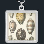 Uniquely Shaped Seashells Silver Plated Necklace<br><div class="desc">Lay out on the warm sand and find the hidden treasures! This painting by Kobeit,  he captures the beautiful water life found ashore. Kobeit captures the a beautiful array of sepia toned seashells in a vintage tone. Get your beautiful ocean art today on your next Zazzle product.</div>